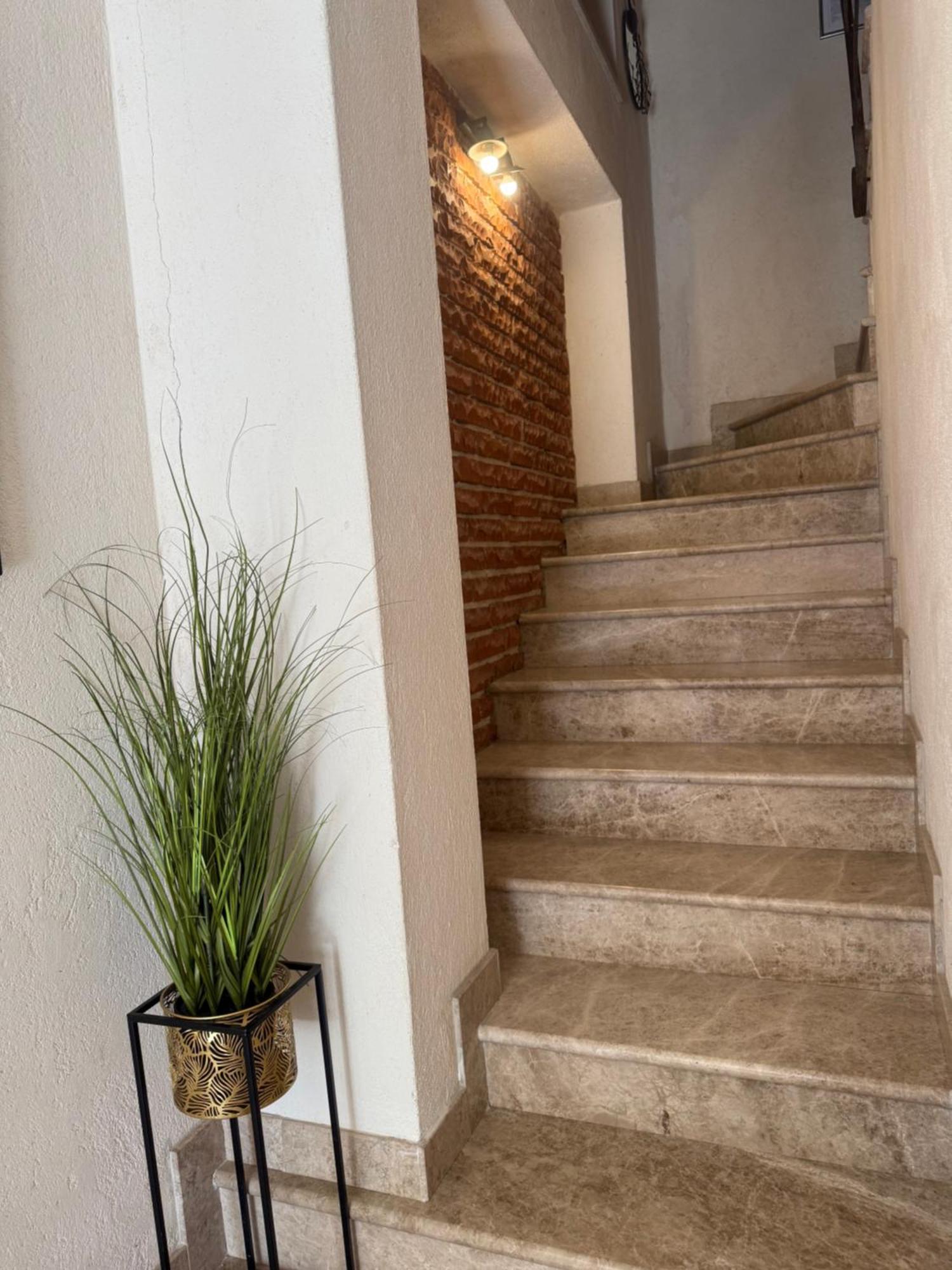 Skver Studio Apartments Herceg Novi Bagian luar foto